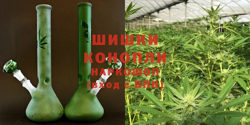 Конопля White Widow  купить   darknet формула  Реутов 